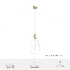 Lundin 1-Light Alturas Gold Bulb Pendant Light with Clear Glass Shade by Hunter -Hunter Sales alturas gold hunter chandeliers 19564 1d 1000