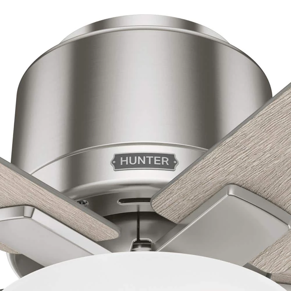 Fitzgerald 44 in. Indoor Brushed Nickel Ceiling Fan with Light Kit Included by Hunter 13 Fitzgerald 44 in. Indoor Brushed Nickel Ceiling Fan with Light Kit Included by Hunter - Image 11