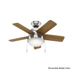Tarrant 36 in. LED Indoor Brushed Nickel Ceiling Fan by Hunter -Hunter Sales brushed nickel hunter ceiling fans with lights 59304 40 1000