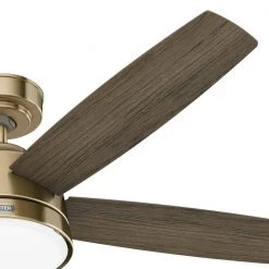 Erikson 52 in. Indoor Burnished Brass Ceiling Fan with Remote and Light Kit by Hunter -Hunter Sales burnished brass hunter ceiling fans with lights 51728 77 1000