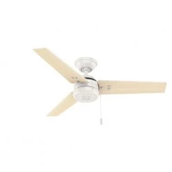 Cassius 44 in. Indoor/Outdoor Fresh White Ceiling Fan by Hunter