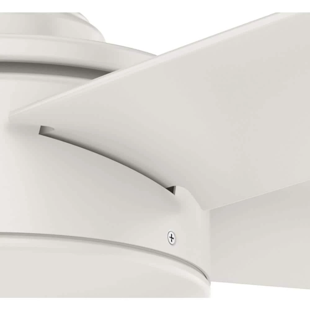 Tidal Ridge 52 in. Outdoor Fresh White Ceiling Fan with Wall Switch by Hunter 5 Tidal Ridge 52 in. Outdoor Fresh White Ceiling Fan with Wall Switch by Hunter - Image 3