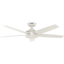Tidal Ridge 52 in. Outdoor Fresh White Ceiling Fan with Wall Switch by Hunter