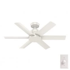 Kennicott 44 in. Indoor/Outdoor Fresh White Ceiling Fan with Wall Switch by Hunter