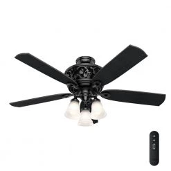 Promenade 54 in. LED Indoor Gloss Black Ceiling Fan with Light Kit and Remote by Hunter