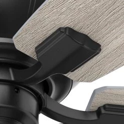 Charlotte 52 in. LED Indoor Matte Black Ceiling Fan with Light by Hunter -Hunter Sales matte black hunter ceiling fans with lights 50403 1f 1000