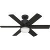 Radeon 44 in. Indoor Matte Black Smart Ceiling Fan with Light Kit and Wall Switch by Hunter