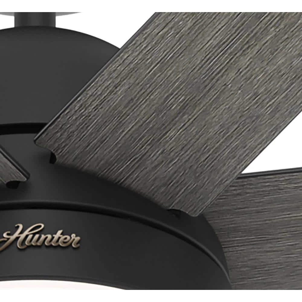 Phenomenon 60 in. Indoor Matte Black Smart Ceiling Fan with Remote and Light Kit by Hunter 12 Phenomenon 60 in. Indoor Matte Black Smart Ceiling Fan with Remote and Light Kit by Hunter - Image 10