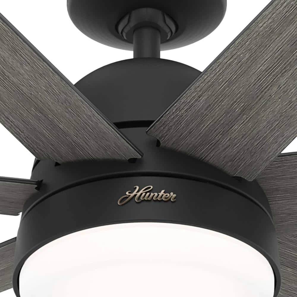 Phenomenon 60 in. Indoor Matte Black Smart Ceiling Fan with Remote and Light Kit by Hunter 13 Phenomenon 60 in. Indoor Matte Black Smart Ceiling Fan with Remote and Light Kit by Hunter - Image 11