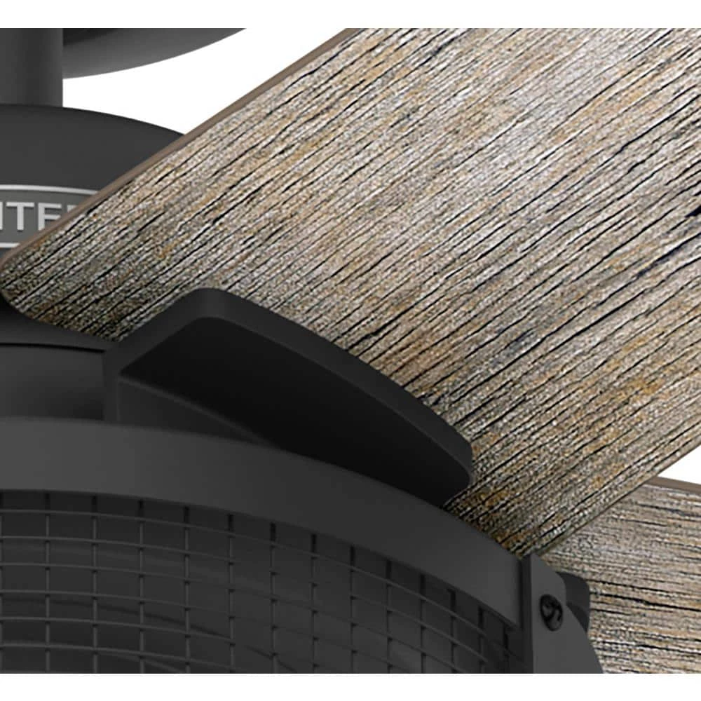 Belvedere 52 in. Indoor Matte Black Ceiling Fan with Light Kit by Hunter 11 Belvedere 52 in. Indoor Matte Black Ceiling Fan with Light Kit by Hunter - Image 9