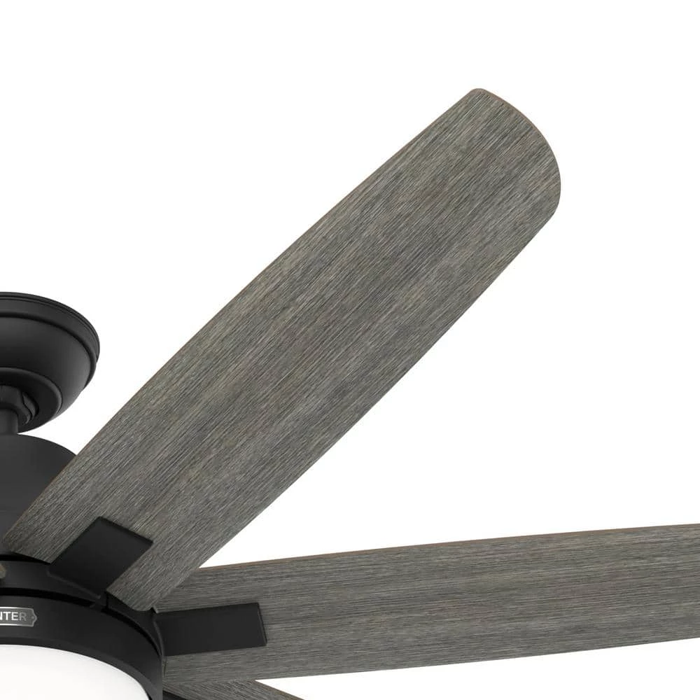 Wilder 60 in. Indoor Matte Black Ceiling Fan with Remote Control and Light Kit by Hunter 7 Wilder 60 in. Indoor Matte Black Ceiling Fan with Remote Control and Light Kit by Hunter - Image 5