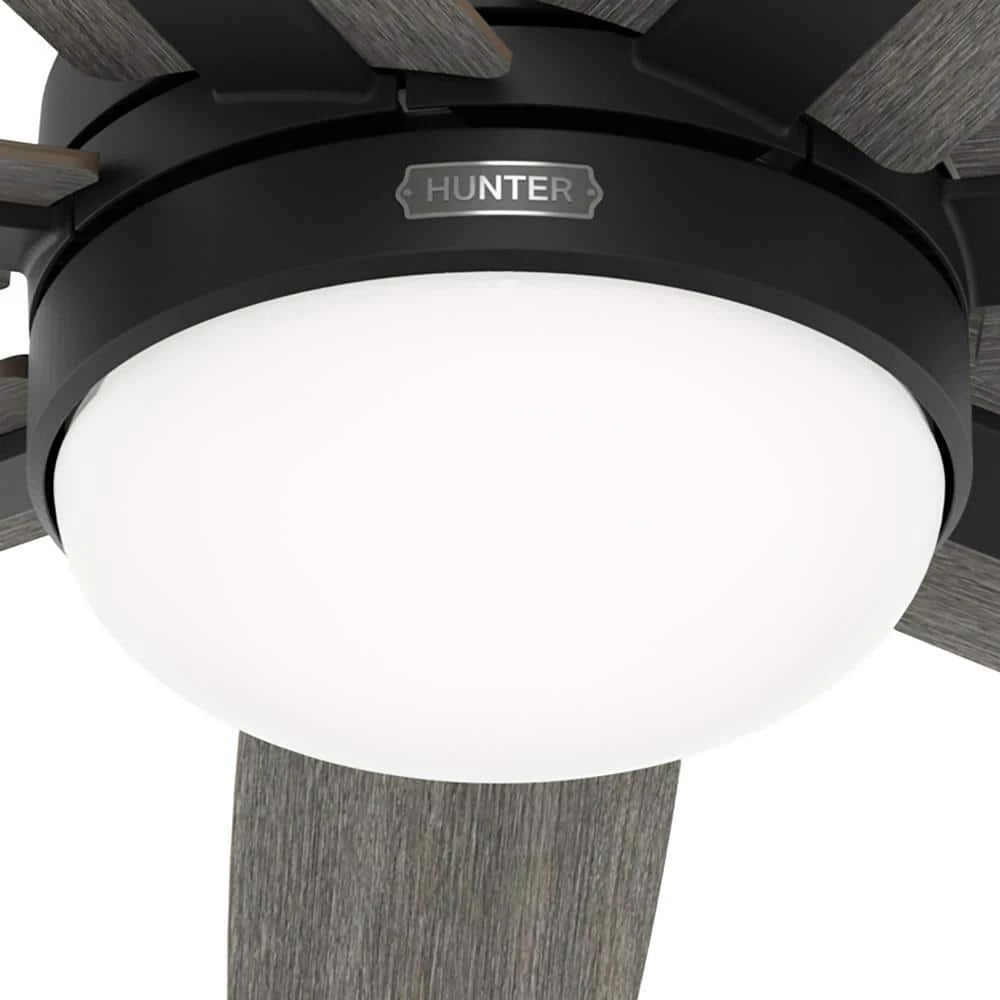 Wilder 60 in. Indoor Matte Black Ceiling Fan with Remote Control and Light Kit by Hunter 8 Wilder 60 in. Indoor Matte Black Ceiling Fan with Remote Control and Light Kit by Hunter - Image 6