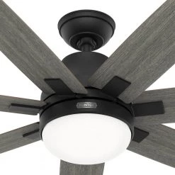 Wilder 60 in. Indoor Matte Black Ceiling Fan with Remote Control and Light Kit by Hunter 26 Wilder 60 in. Indoor Matte Black Ceiling Fan with Remote Control and Light Kit by Hunter -Hunter Sales matte black hunter ceiling fans with lights 51566 fa 1000