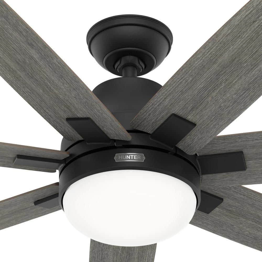 Wilder 60 in. Indoor Matte Black Ceiling Fan with Remote Control and Light Kit by Hunter 14 Wilder 60 in. Indoor Matte Black Ceiling Fan with Remote Control and Light Kit by Hunter - Image 12