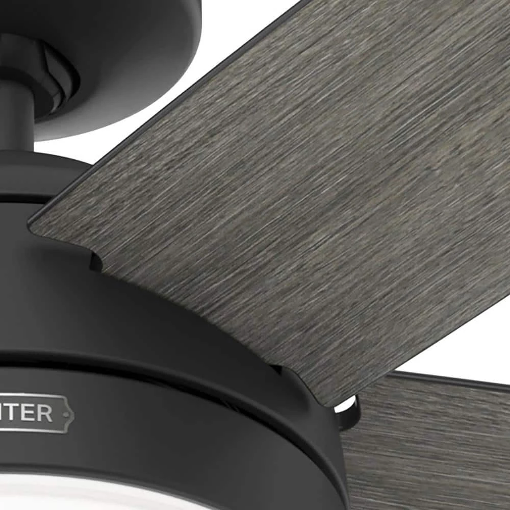 Orchestra 60 in. Indoor Matte Black Ceiling Fan with Remote and Light Kit by Hunter 12 Orchestra 60 in. Indoor Matte Black Ceiling Fan with Remote and Light Kit by Hunter - Image 11