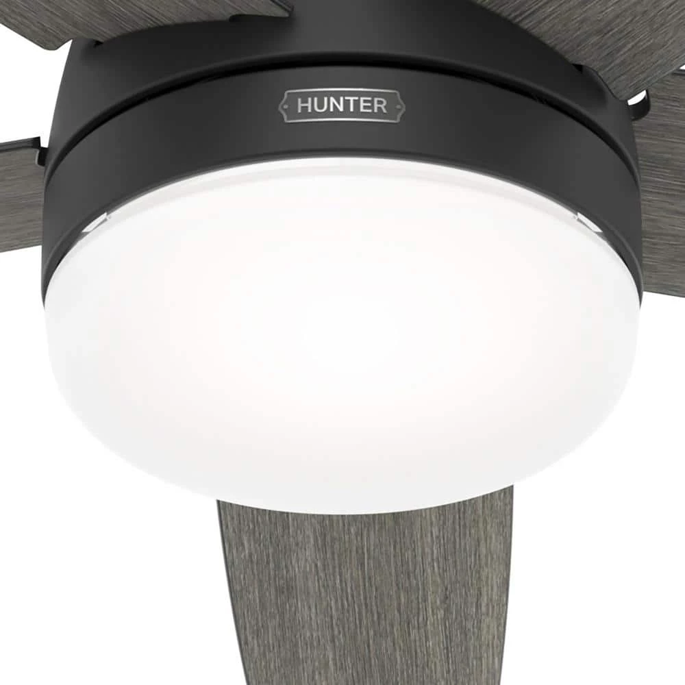 Orchestra 60 in. Indoor Matte Black Ceiling Fan with Remote and Light Kit by Hunter 7 Orchestra 60 in. Indoor Matte Black Ceiling Fan with Remote and Light Kit by Hunter - Image 6