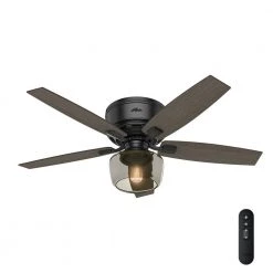 Bennett 52 in. LED Low Profile Matte Black Indoor Ceiling Fan With Globe Light Kit and Handheld Remote Control by Hunter