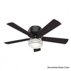 Cedar Key 52 in. Indoor/Outdoor Matte Black Low Profile Ceiling Fan with Light Kit and Handheld Remote Control by Hunter -Hunter Sales matte black hunter ceiling fans with lights 55080 a0 1000