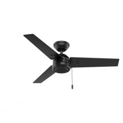 Cassius 44 in. Indoor/Outdoor Matte Black Ceiling Fan by Hunter