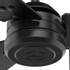 Cassius 44 in. Indoor/Outdoor Matte Black Ceiling Fan by Hunter -Hunter Sales matte black hunter ceiling fans without lights 50260 76 1000