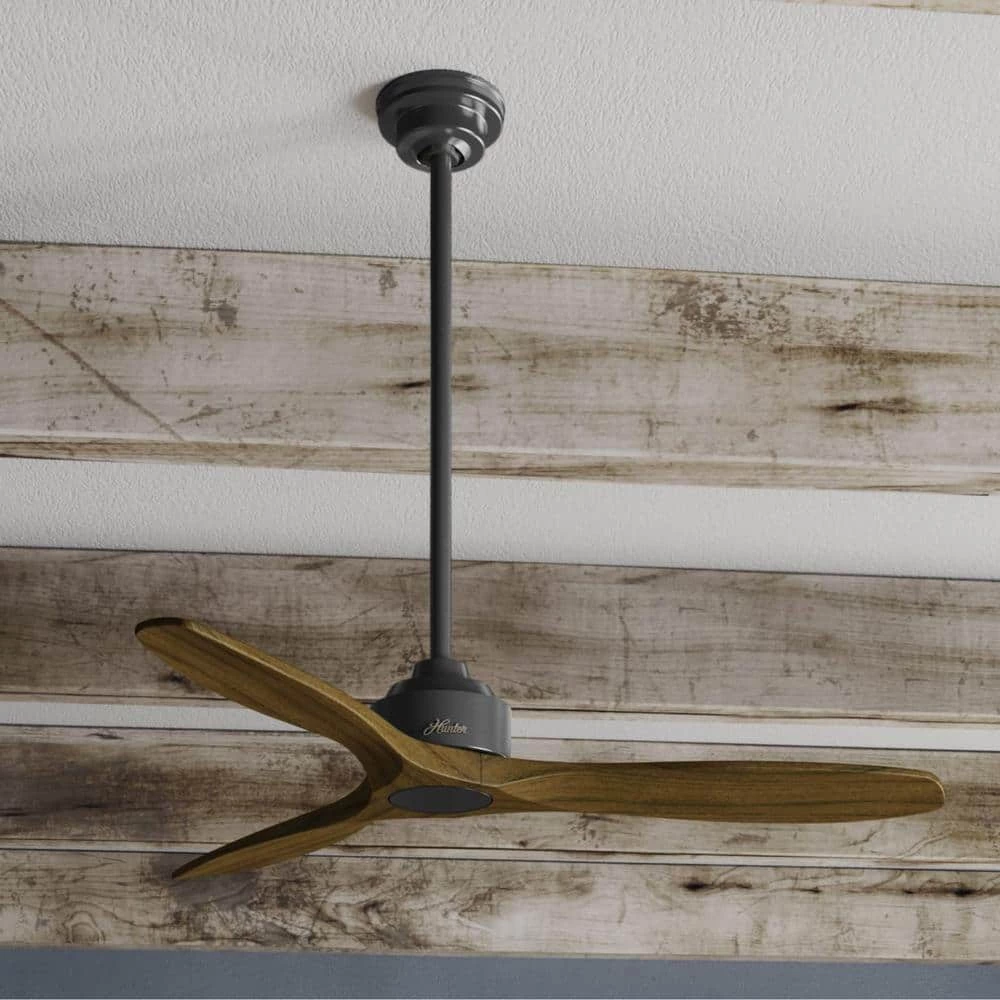 Melbourne 52 in. Indoor Matte Black Ceiling Fan with Wall Control by Hunter 7 Melbourne 52 in. Indoor Matte Black Ceiling Fan with Wall Control by Hunter - Image 5