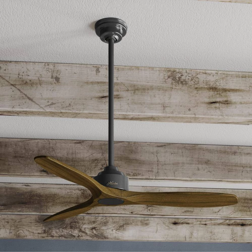 Melbourne 52 in. Indoor Matte Black Ceiling Fan with Wall Control by Hunter 6 Melbourne 52 in. Indoor Matte Black Ceiling Fan with Wall Control by Hunter - Image 4