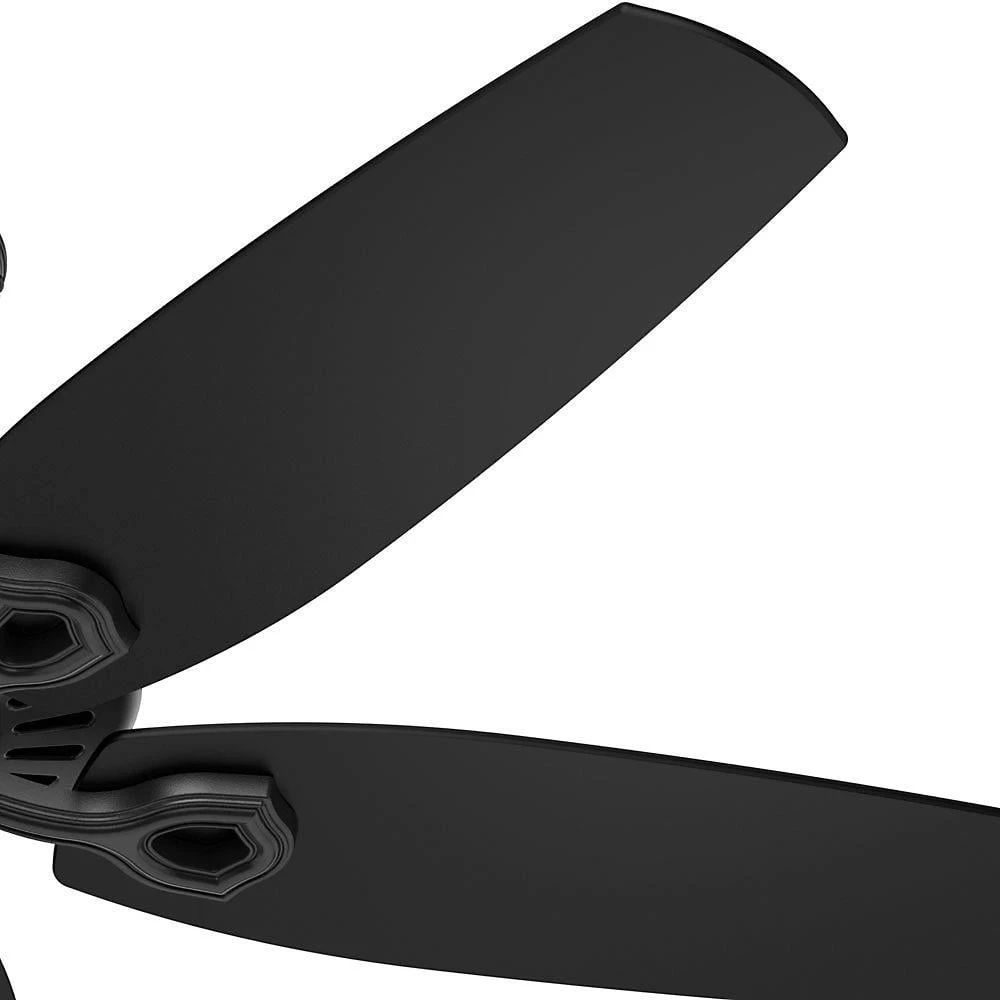Builder Elite 52 in. Indoor/Outdoor Matte Black Ceiling Fan by Hunter 10 Builder Elite 52 in. Indoor/Outdoor Matte Black Ceiling Fan by Hunter - Image 8