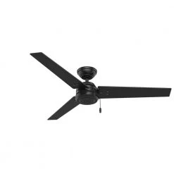 Cassius 52 in. Indoor/Outdoor Matte Black Ceiling Fan by Hunter