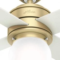 Hepburn 44 in. LED Indoor Modern Brass Ceiling Fan with Light and Wall Control by Hunter -Hunter Sales modern brass hunter ceiling fans with lights 52313 66 1000