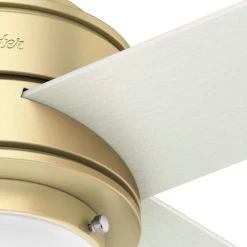 Hepburn 44 in. LED Indoor Modern Brass Ceiling Fan with Light and Wall Control by Hunter -Hunter Sales modern brass hunter ceiling fans with lights 52313 fa 1000