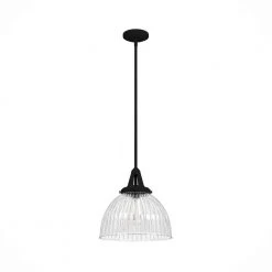 Cypress Grove 1 Light Natural Iron Pendant Light Island with Clear Holophane Glass Shade Dining Room Light by Hunter