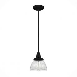 Cypress Grove 1 Light Natural Iron Island Pendant Light with Clear Holophane Glass Shade Dining Room Light by Hunter