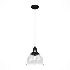 Cypress Grove 1 light Natural Iron Island Pendant Light with Clear Holophane Glass Shade Dining Room Light by Hunter