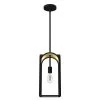 Dukestown 1-Light Natural Iron Lantern Pendant Light with Gold Lead Detail by Hunter