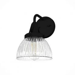 Cypress Grove 1 Light Natural Iron Wall Sconce with Clear Holophane Shade Bathroom Light by Hunter