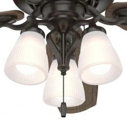 Osbourne 54 in. LED Indoor Noble Bronze Ceiling Fan with Light Kit by Hunter 18 Osbourne 54 in. LED Indoor Noble Bronze Ceiling Fan with Light Kit by Hunter -Hunter Sales noble bronze hunter ceiling fans with lights 50636 a0 1000