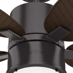 Amaryllis 52 in. Indoor/Outdoor Noble Bronze Ceiling Fan with Light Kit and Remote by Hunter 24 Amaryllis 52 in. Indoor/Outdoor Noble Bronze Ceiling Fan with Light Kit and Remote by Hunter -Hunter Sales noble bronze hunter ceiling fans with lights 51191 44 1000