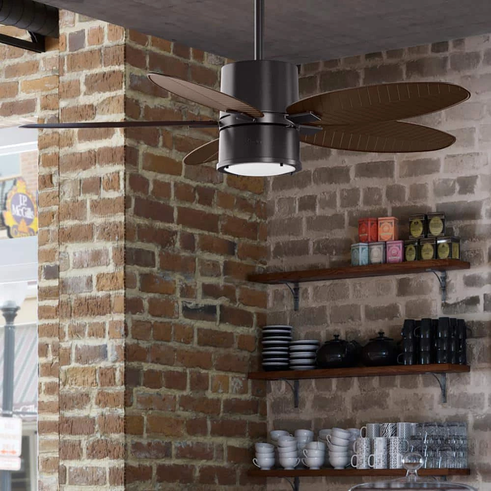 Amaryllis 52 in. Indoor/Outdoor Noble Bronze Ceiling Fan with Light Kit and Remote by Hunter 4 Amaryllis 52 in. Indoor/Outdoor Noble Bronze Ceiling Fan with Light Kit and Remote by Hunter - Image 2