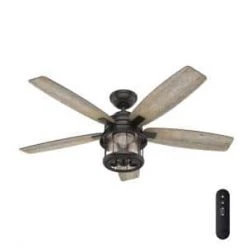 Coral Bay 52 in. LED Indoor/Outdoor Noble Bronze Ceiling Fan with Handheld Remote and Light Kit by Hunter