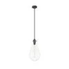 Lundin 1-Light Noble Bronze Bulb Pendant Light with Clear Glass Shade by Hunter -Hunter Sales noble bronze hunter chandeliers 19565 64 1000