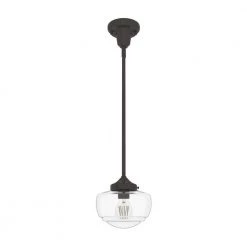Saddle Creek 1-Light Noble Bronze Schoolhouse Mini Pendant Light with Clear Seeded Glass Shade by Hunter