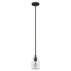 Dunshire 1-Light Noble Bronze Island Mini-Pendant Light with Clear Curved Vase Glass Shade by Hunter