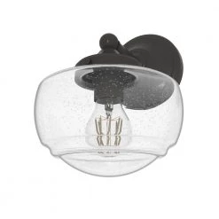 Saddle Creek 1-Light Noble Bronze Wall Sconce with Clear Seeded Glass Shade by Hunter