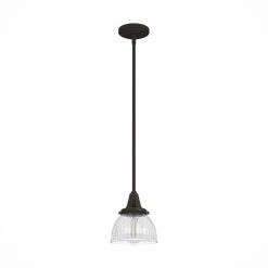 Cypress Grove 1 Light Onyx Bengal Island Pendant Light with Clear Holophane Glass Shade Dining Room Light by Hunter