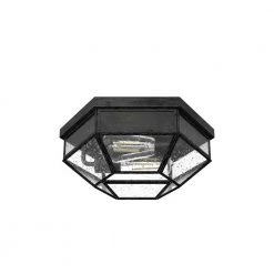 Indria 13 in. 2 Light Rustic Iron Flush Mount Bathroom Light by Hunter -Hunter Sales rustic iron hunter flush mount lights 19115 c3 1000