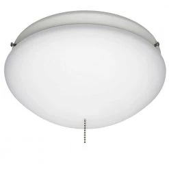 White Outdoor Ceiling Fan Globe Light by Hunter