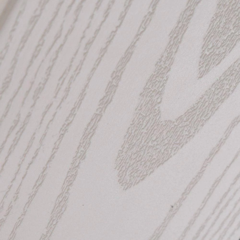 Bridgeport 52 in. Indoor/Outdoor White Ceiling Fan with Remote by Hunter 12 Bridgeport 52 in. Indoor/Outdoor White Ceiling Fan with Remote by Hunter - Image 10