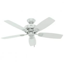 Sea Wind 48 in. Indoor/Outdoor White Ceiling Fan by Hunter