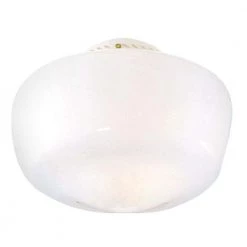 Schoolhouse Globe Light Cover by Hunter